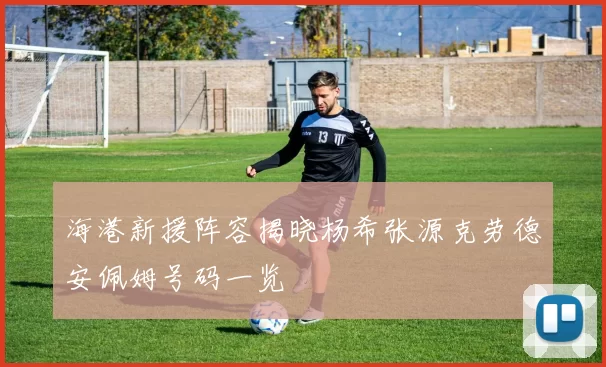 海港新援阵容揭晓杨希张源克劳德安佩姆号码一览